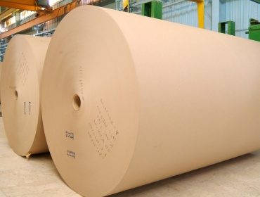 ورق فلوتنج  - Gulf Paper Manufacturing Company - UAE