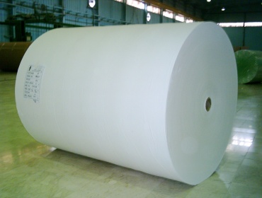 Gulf Paper Manufacturing Company - UAE