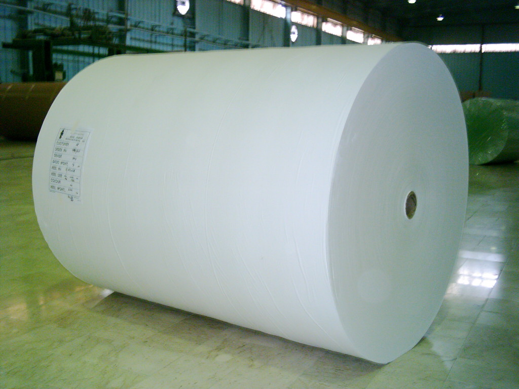 Jumbo Rolls - Gulf Paper Manufacturing Company - UAE